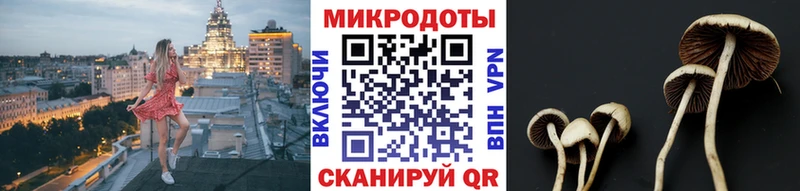 KRAKEN как зайти Грязи Галлюциногенные грибы Psilocybine cubensis