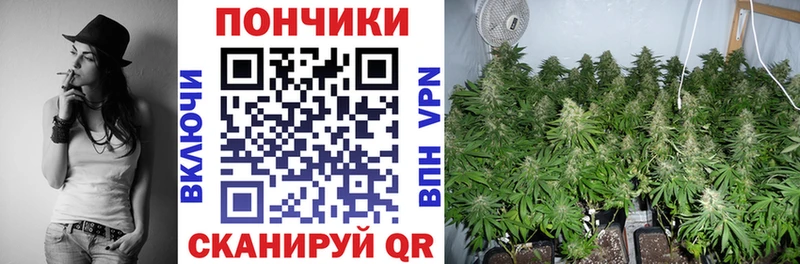 OMG tor Грязи Бошки Шишки Bruce Banner закладки